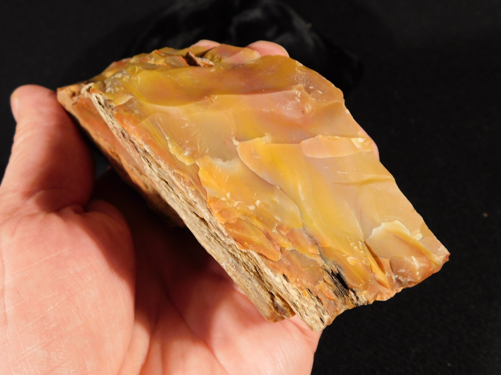 Polished Deep Yellow/RED Petrified RAINBOW WOOD Fossil End Cut Arizona 309gr
