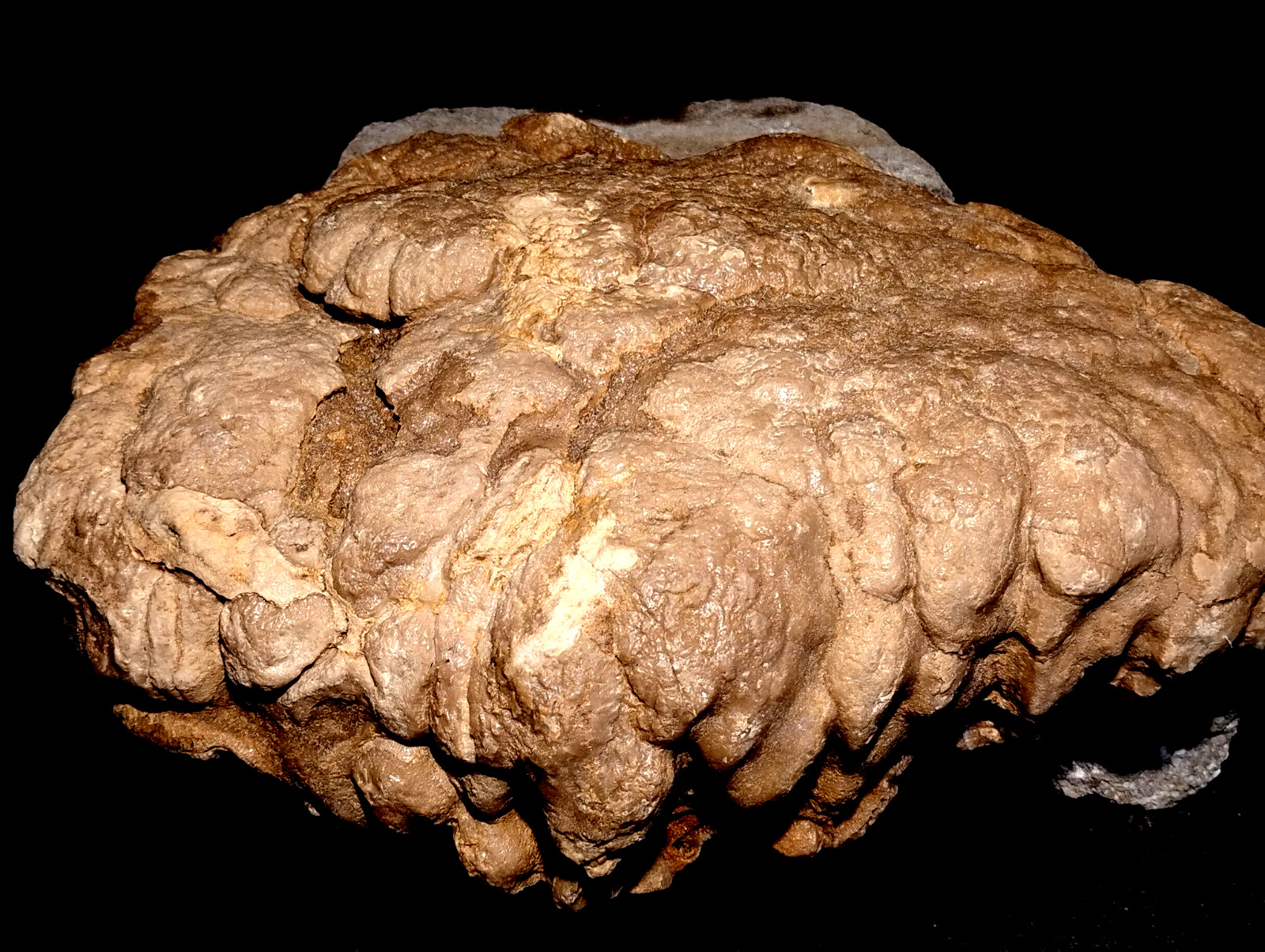 16lb Phosphorescent Flowstone “Lip” – Fortress Keep Mine, MO – Rare Afterglow