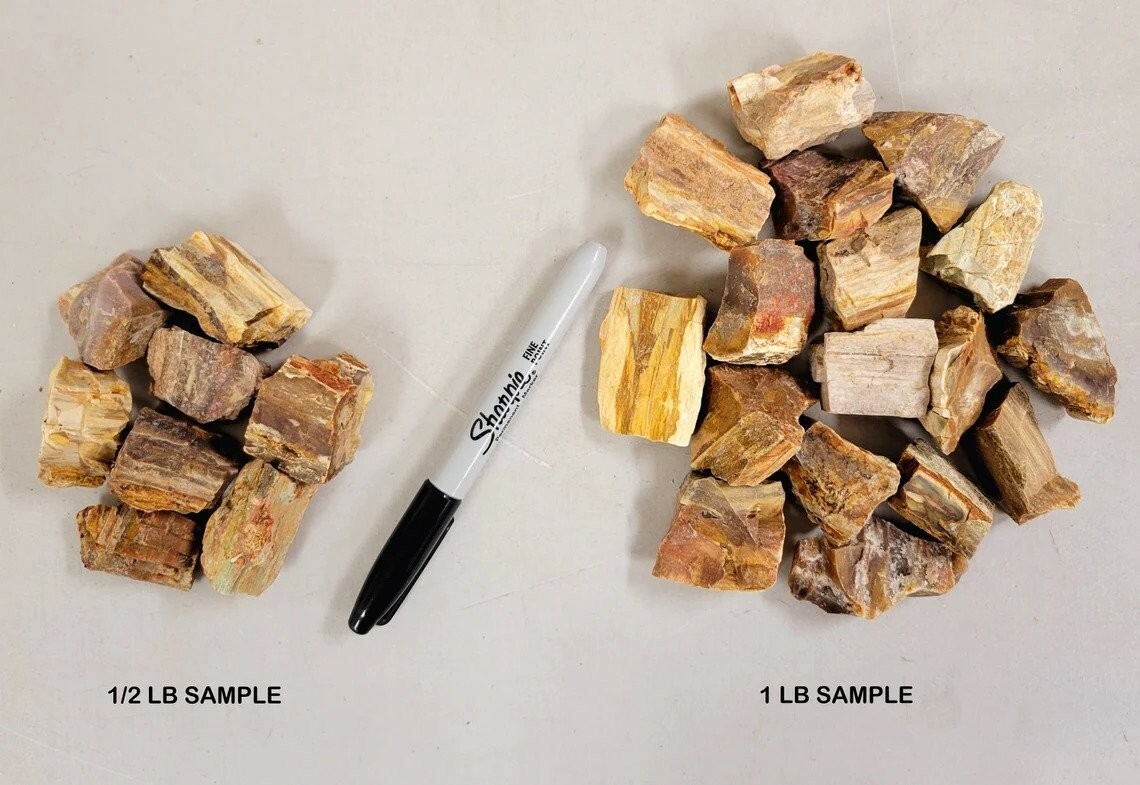 Rough Petrified Wood Crystals, Bulk Healing Gems & Fossil Stones for Tumbling