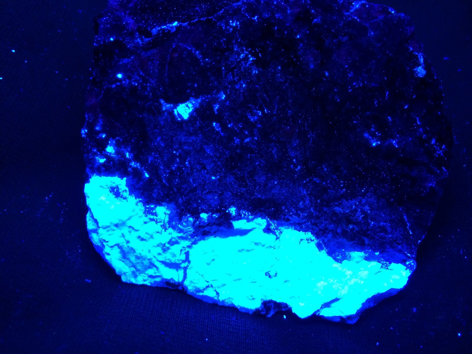 KB: DEC 2016 FANTASTIC ORE SPECIMEN SW FL. BLUE/WH SCHEELITE ANDREW MINE, CA