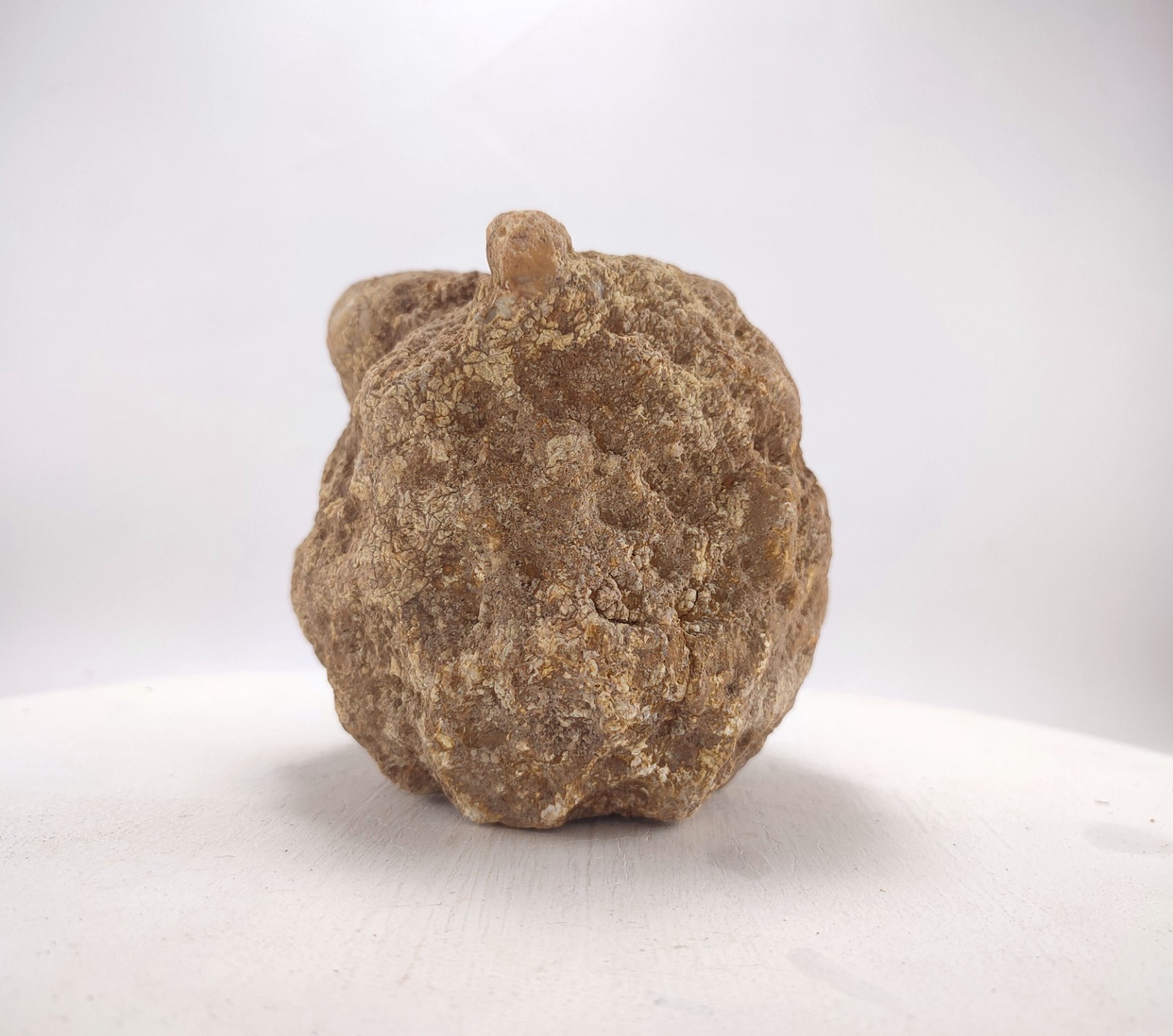 6″ Unopened Geode Break Your Own Hollow Rattler 4.7 LB Kentucky Quartz Crystal