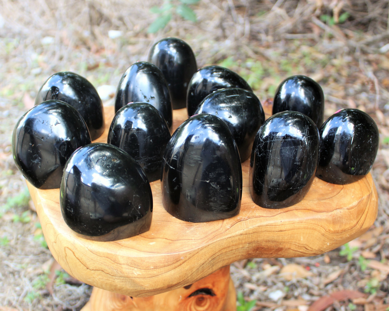 Polished Black Tourmaline Freeform: Cut Base Free Standing Display Specimens