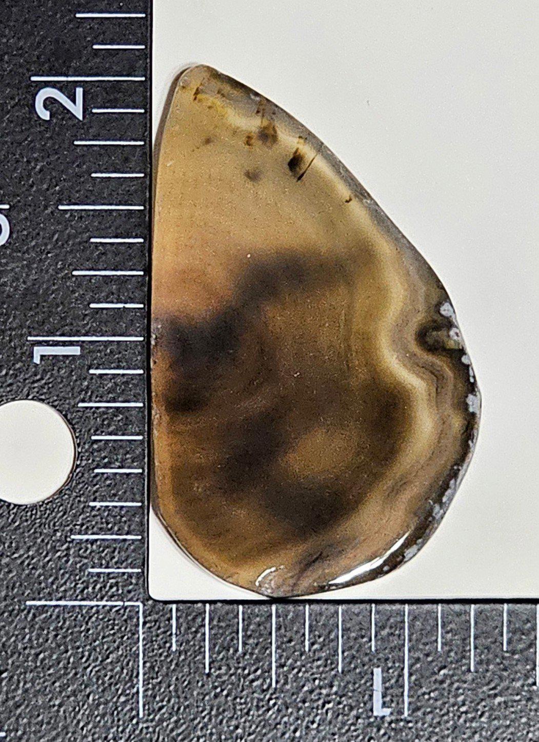 Set of 4 Polished Agate Slices Brown Green Amber Orange White