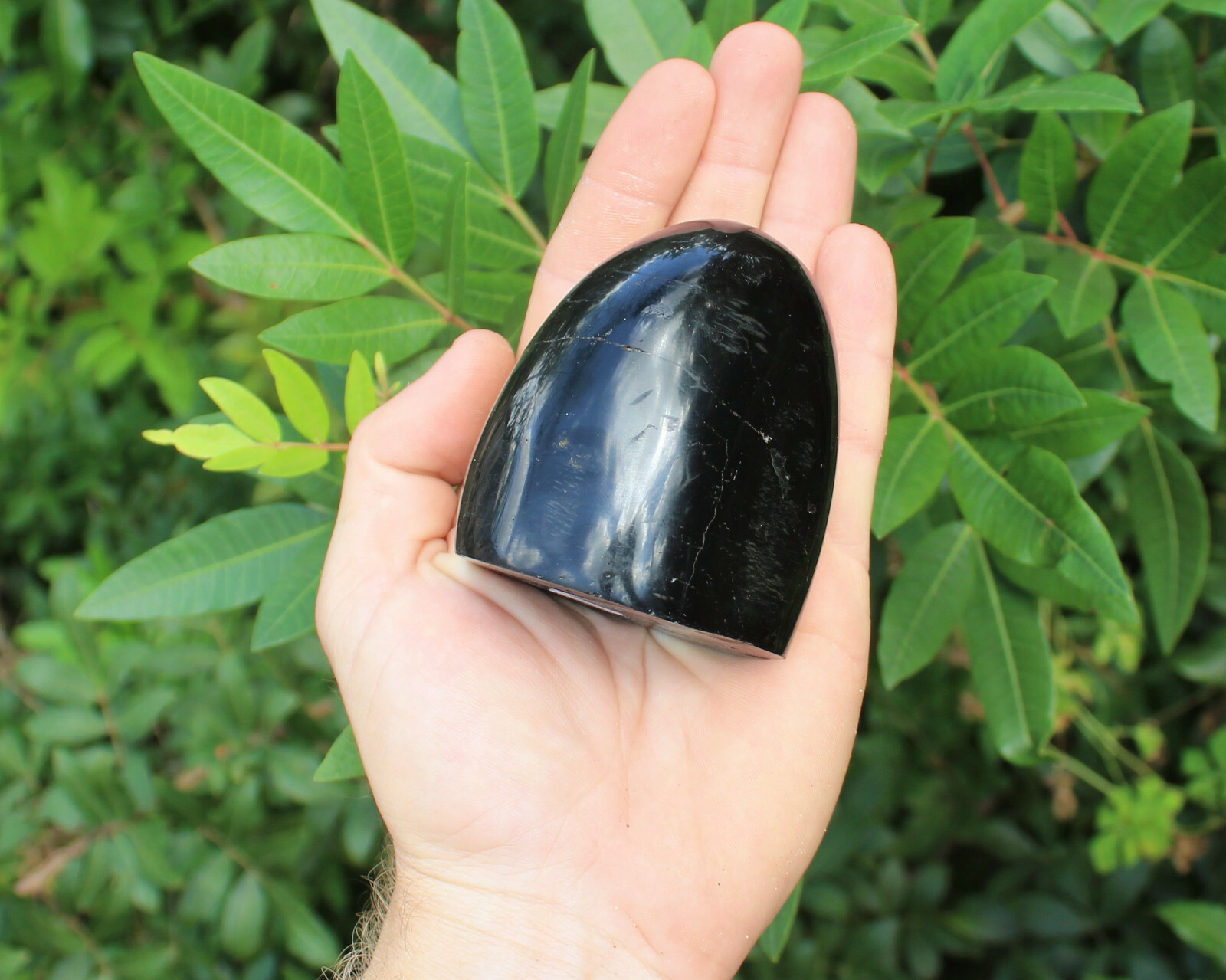 Polished Black Tourmaline Freeform: Cut Base Free Standing Display Specimens