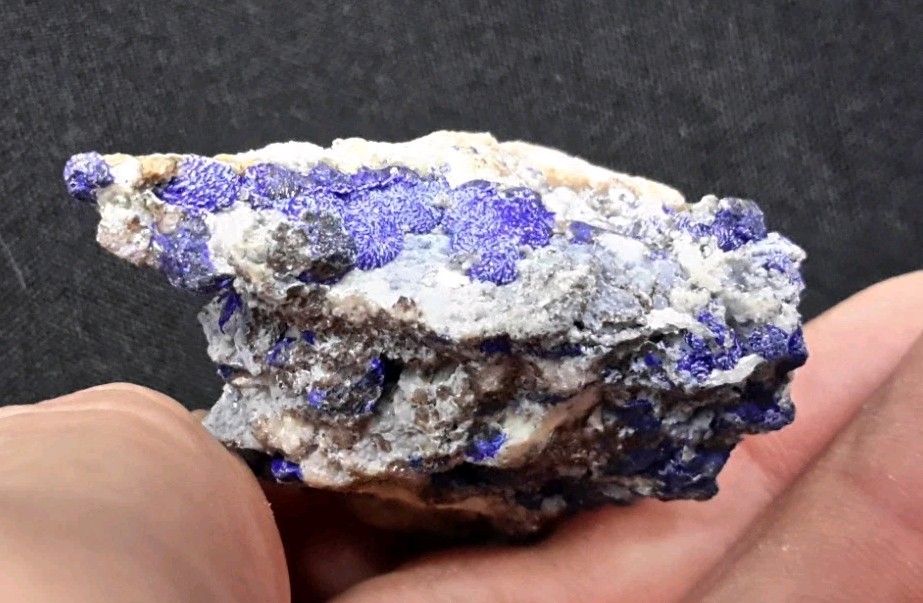 12 Piece AZURITE with QUARTZ and FLUORITE from Sierra Rica, Chihuahua, Mexico