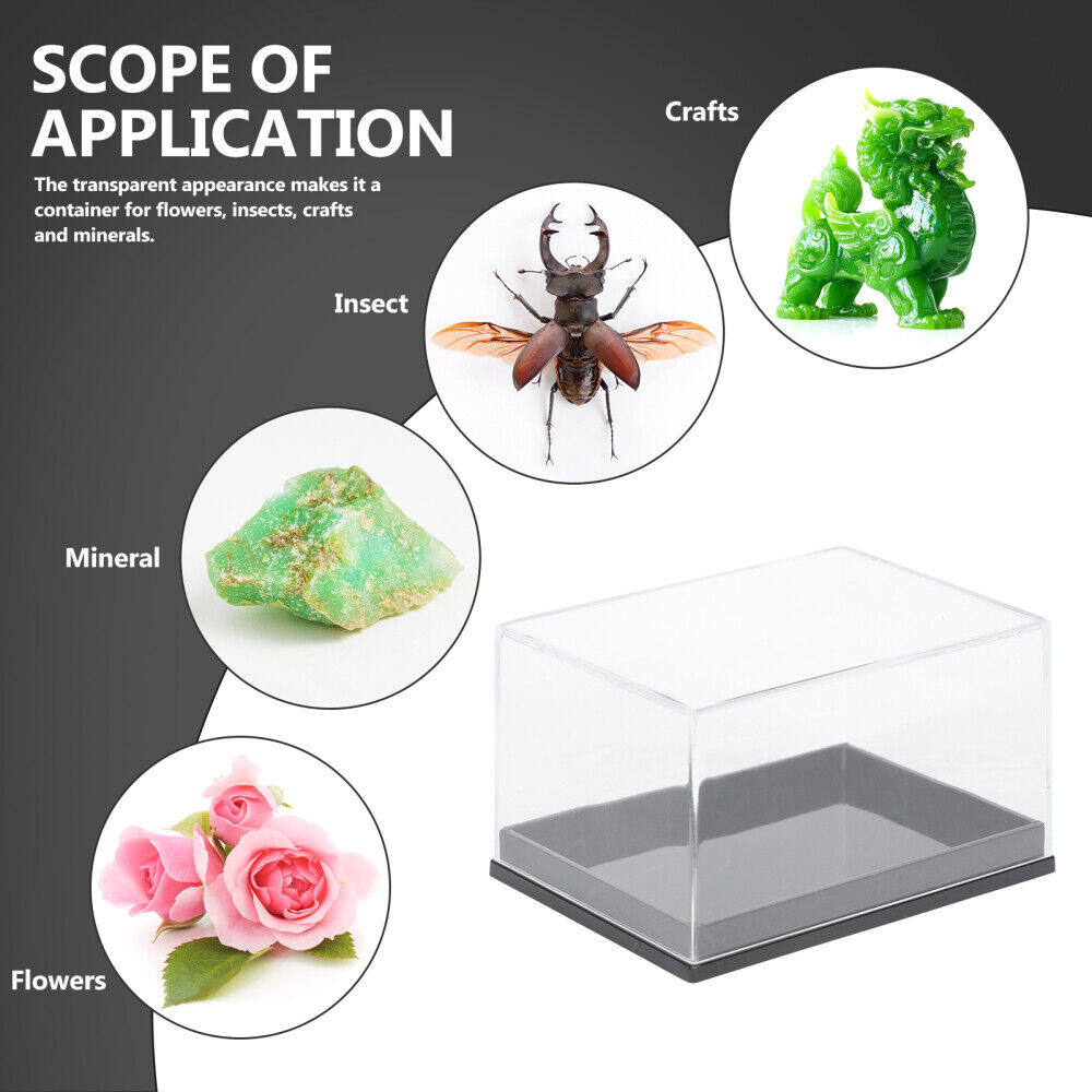 Mineral Display Specimen Box Rectangle Square Display Case Jewelry Organizer USA