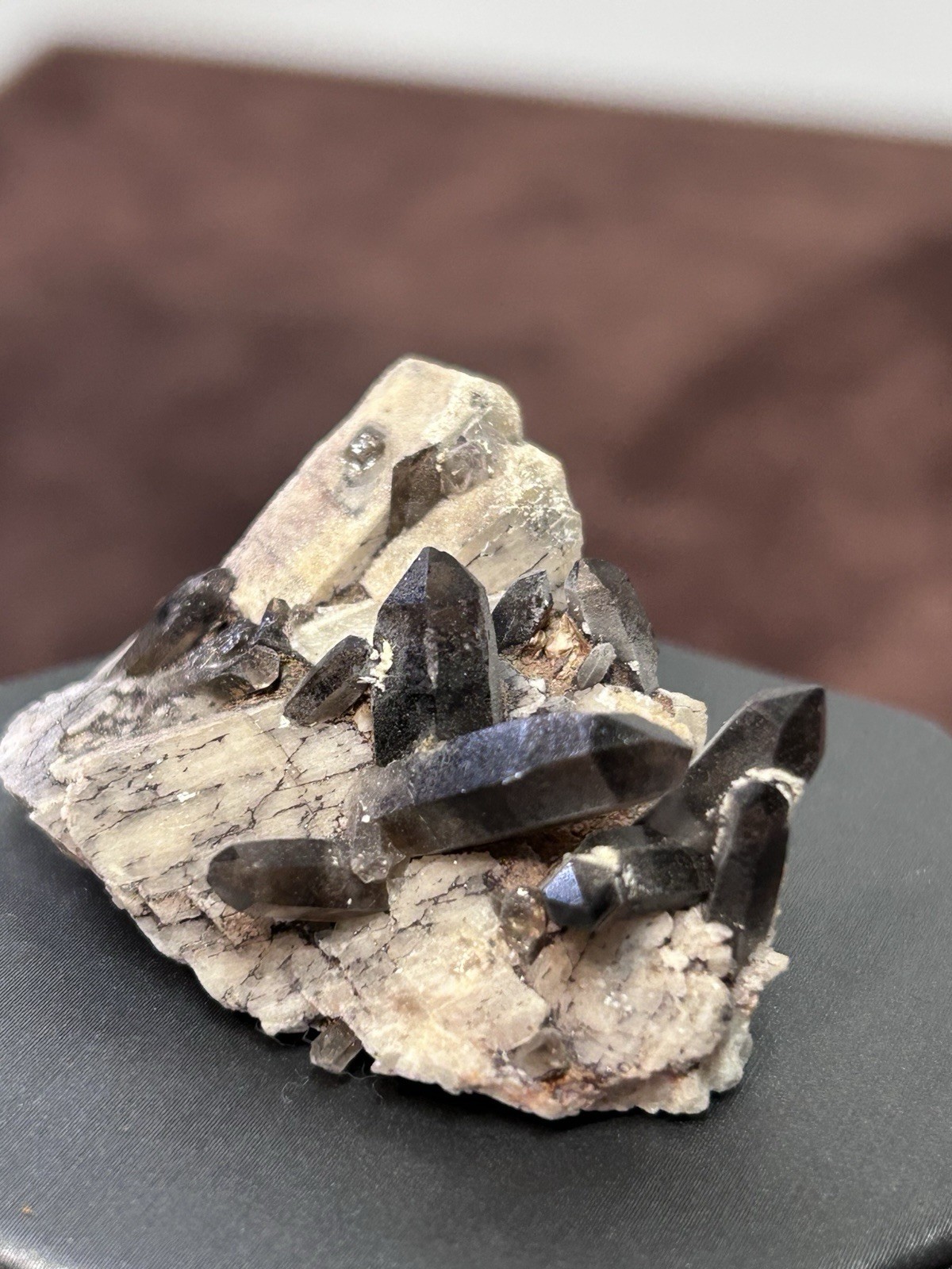 Smoky Quartz on Microcline Colorado Crystal Lined Pocket Miniature Mineral