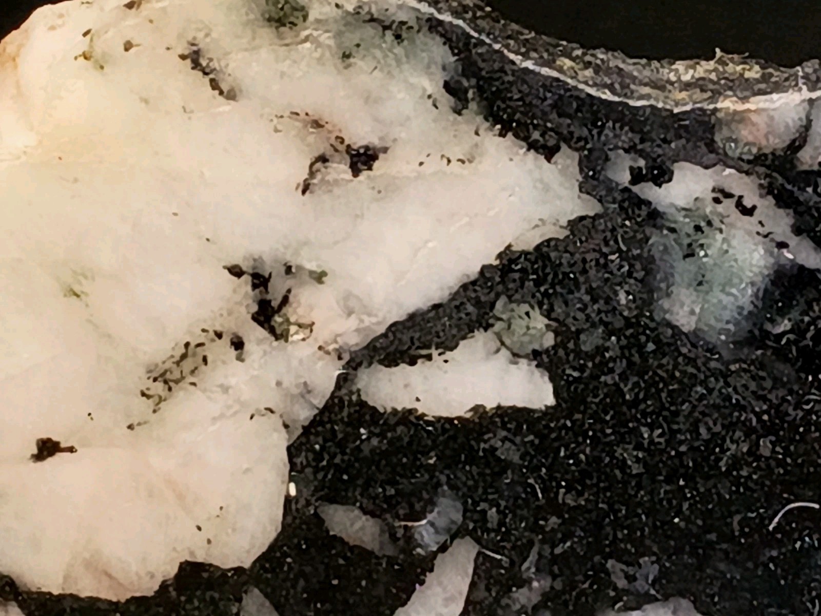 10″ Brecciated Quartz Magnetite Amphibole Pilot Knob MO Polished Display Mineral