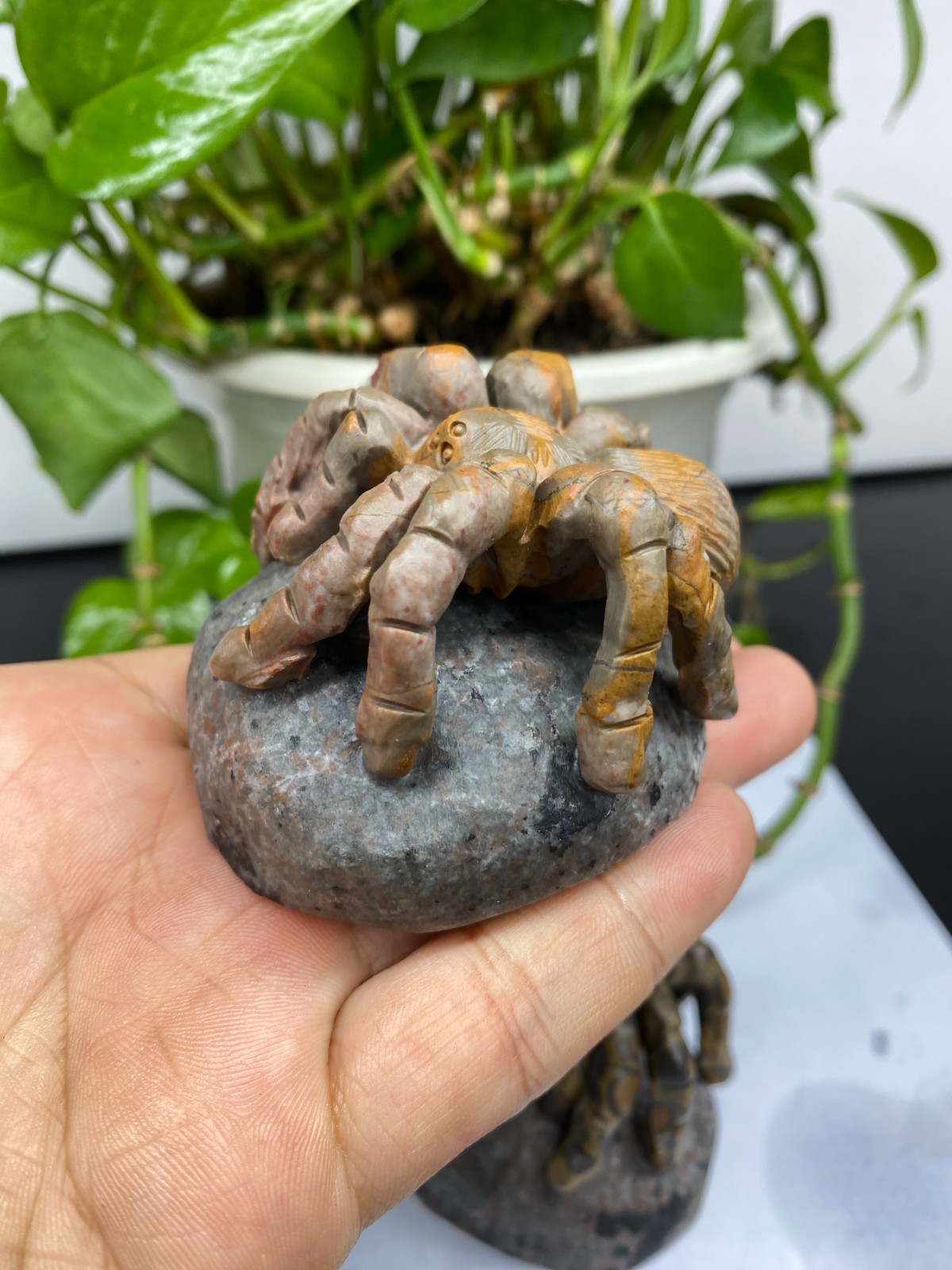 1pc Natural Moneystone Quartz Carved spider skull Crystal reiki healing Decor