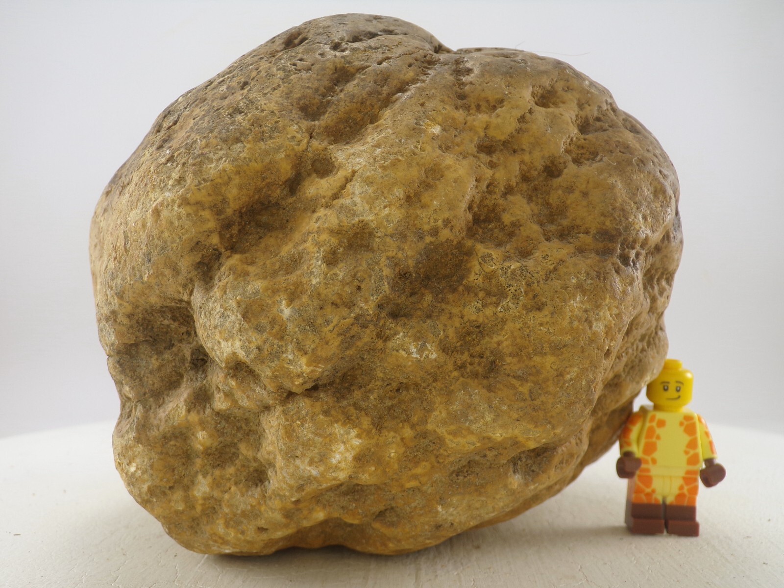 7″ Unopened Geode Nodule 6.4 LB – Natural Uncut Kentucky Quartz Crystal