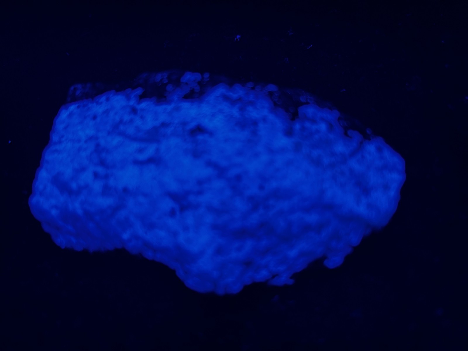 KB: SW FL BRIGHT!! BLUE/WHITE SCHEELITE XLINE. ON GNEISS YUNNAN PROVINCE, CHINA