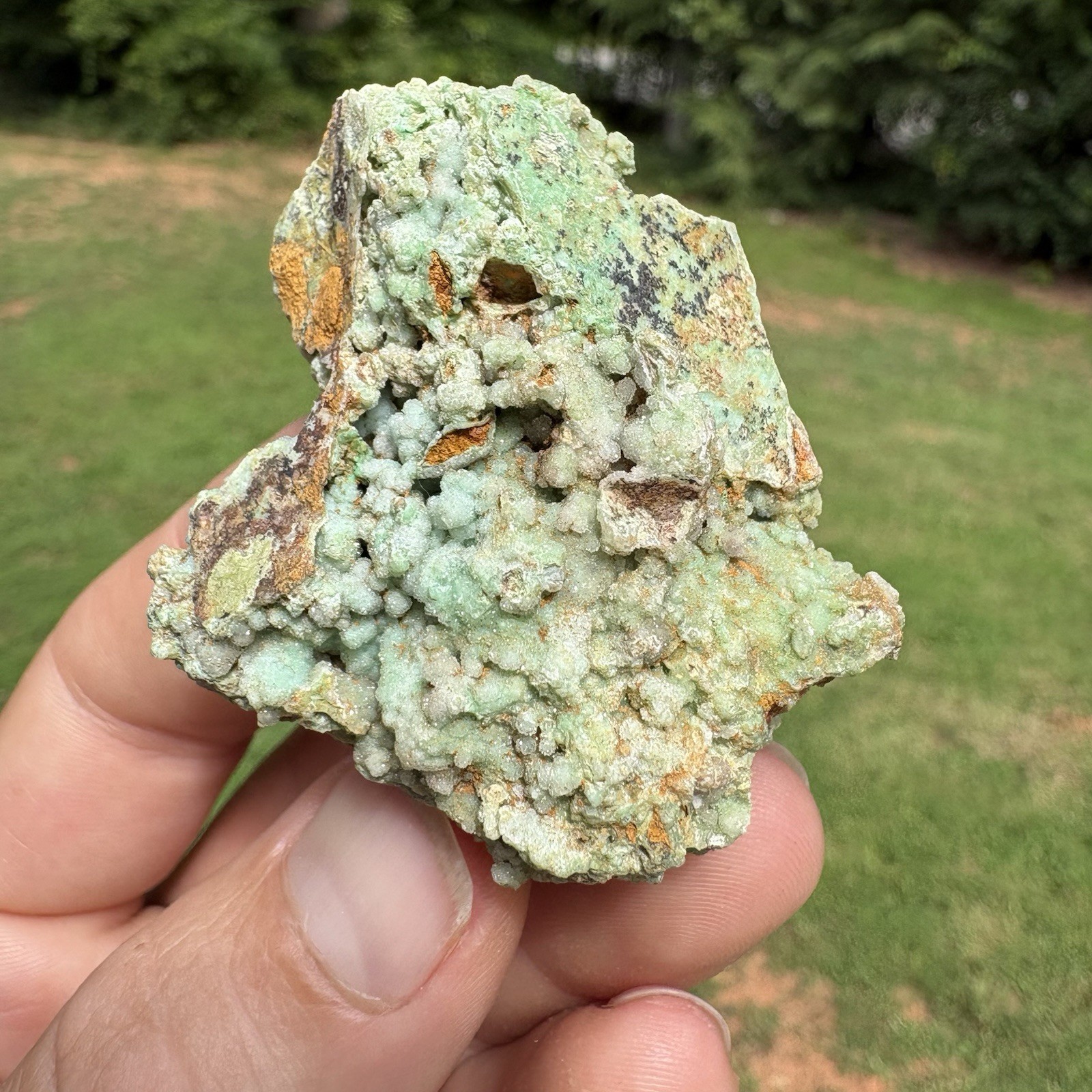 Lot Of 8 Natural Garnierite Mineral Nickel Ore Specimen
