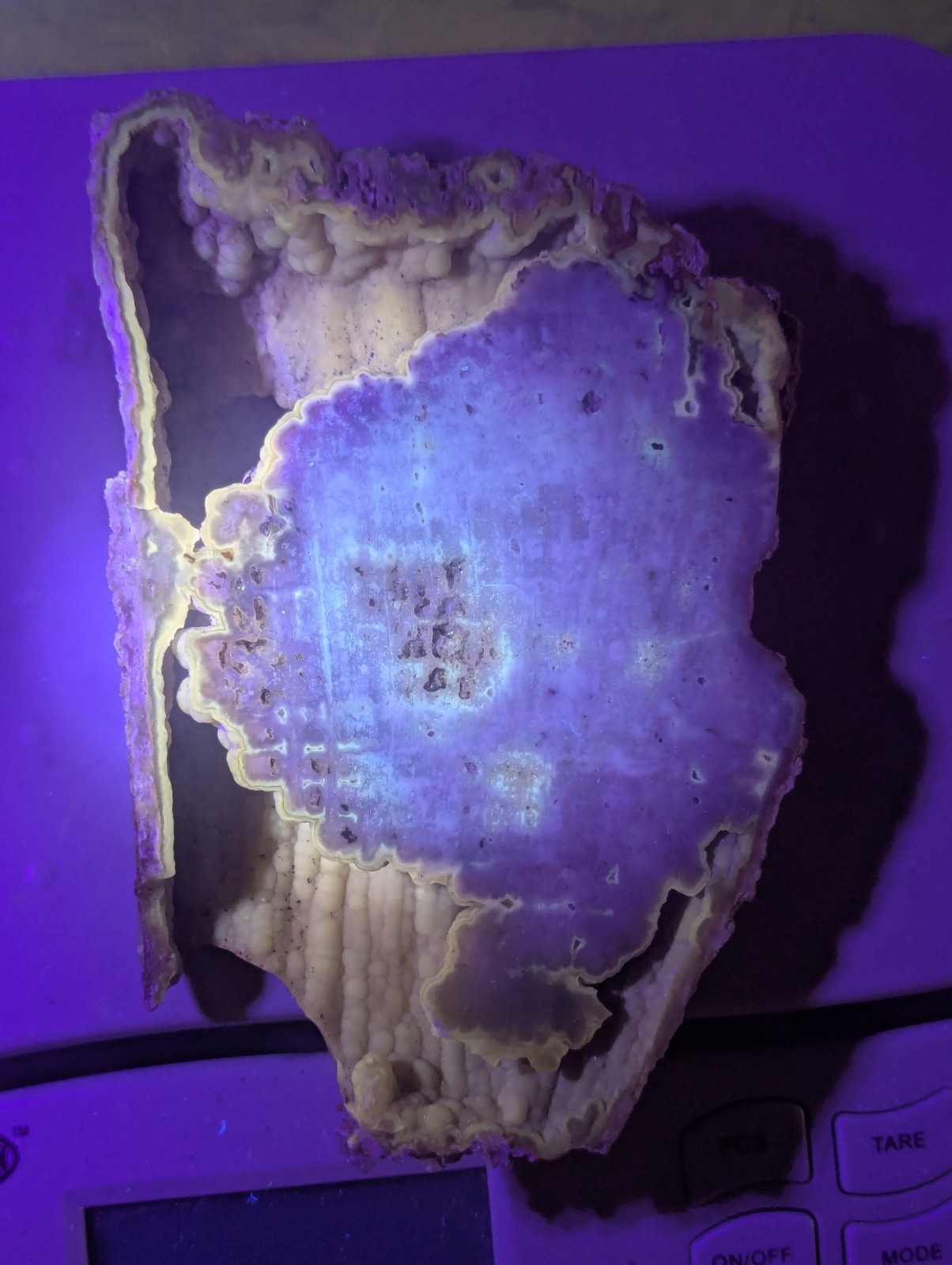 Big Fluorescent Bubbly Fossilized Agatized Coral Botryoidal Crystal Geode FL