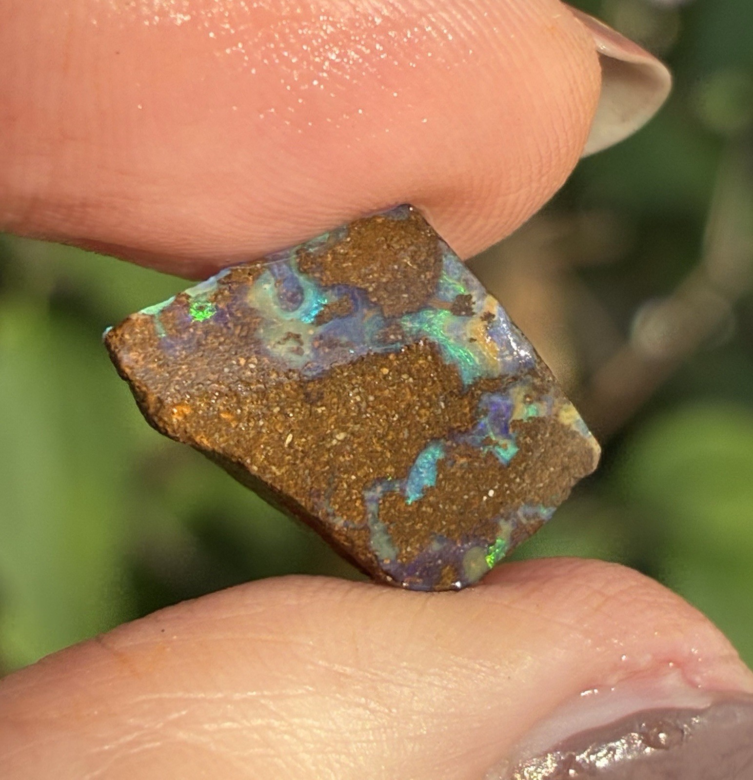 6ct Australian Small Pretty Boulder Opal Rough Loose Multicolor Specimen A21