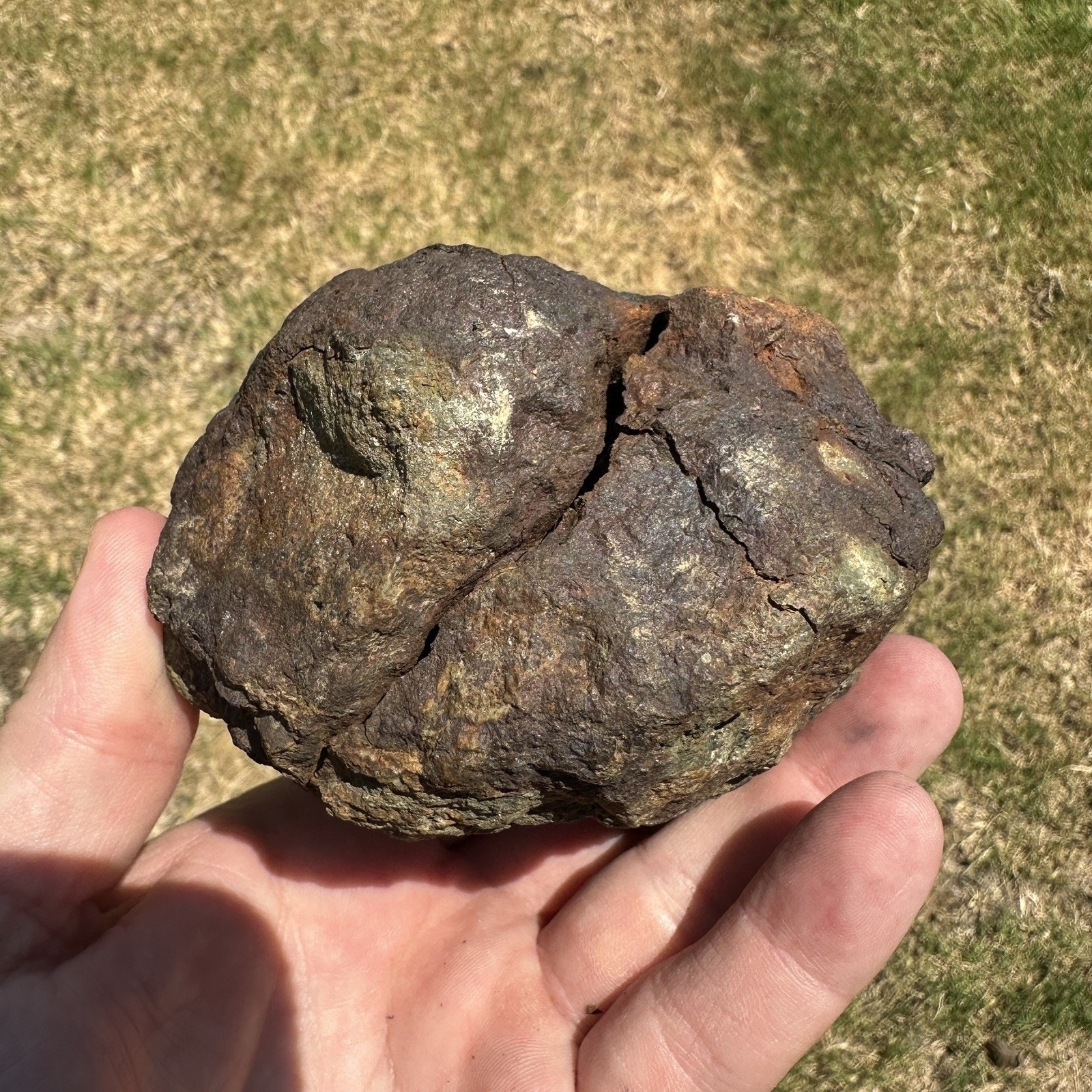 Mt Skukum Pyrite Nodule 3.75 Inch Collector Mineral Rock Specimen Yukon 1076.3g