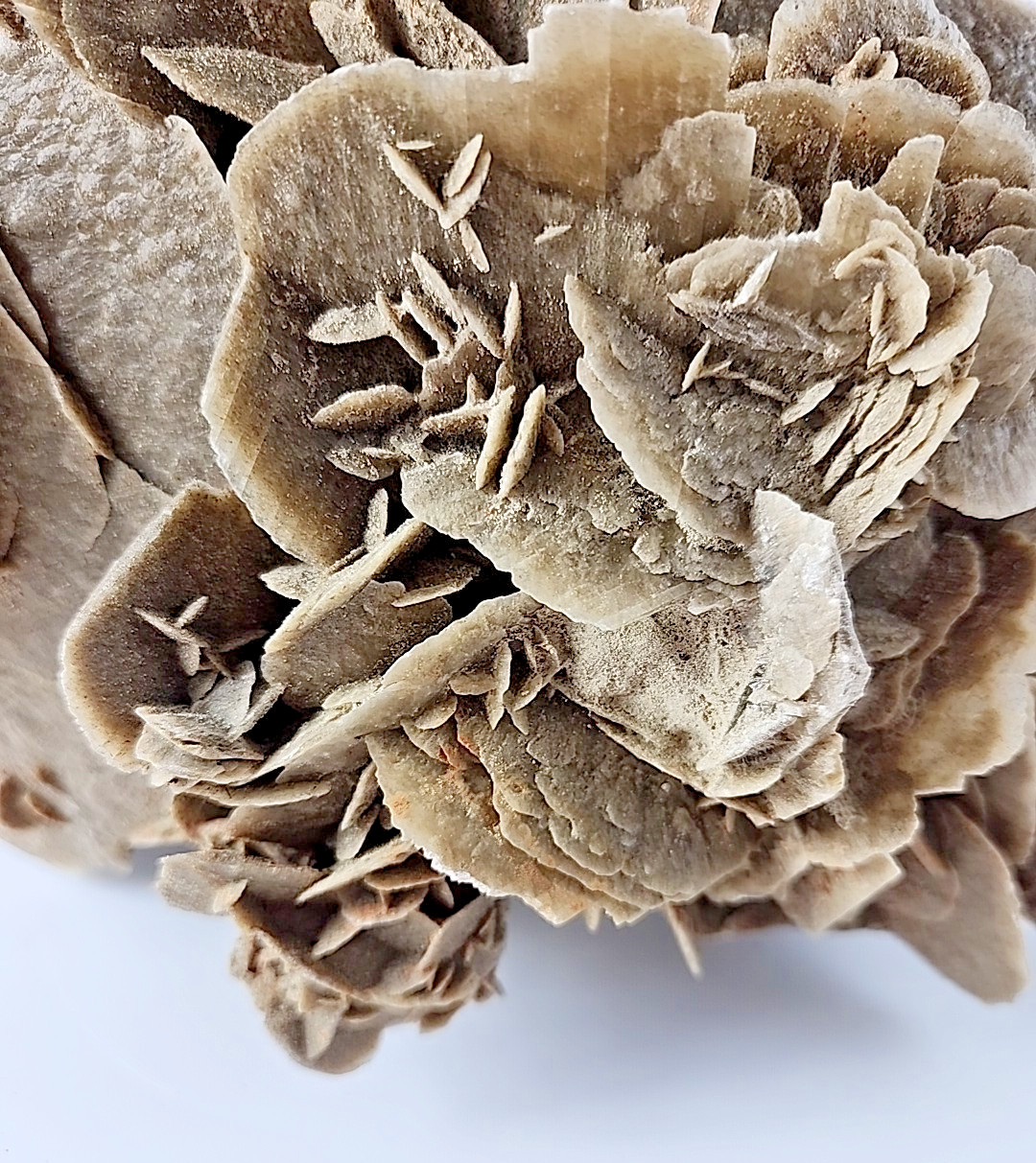 6 LB 7 OZ 2.94 kg Selenite Desert Rose Gypsum Minerals Crystals