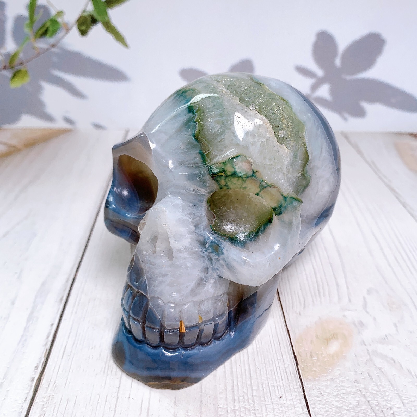 1pc Natural crystal skull Geode agate skulls carving Healing Home decoration