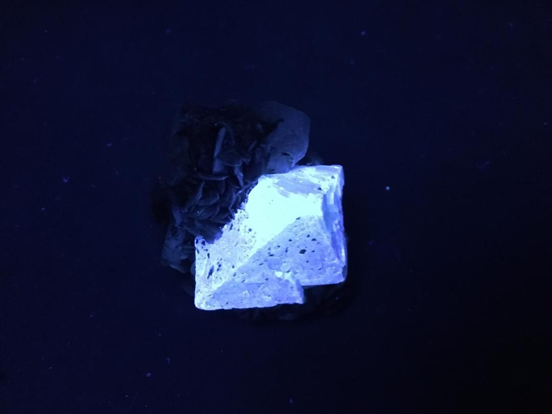 KB: SW FL BRIGHT BLUE/WHITE XL OF SCHEELITE IN MATRIX, SICHUAN PROVINCE, CHINA