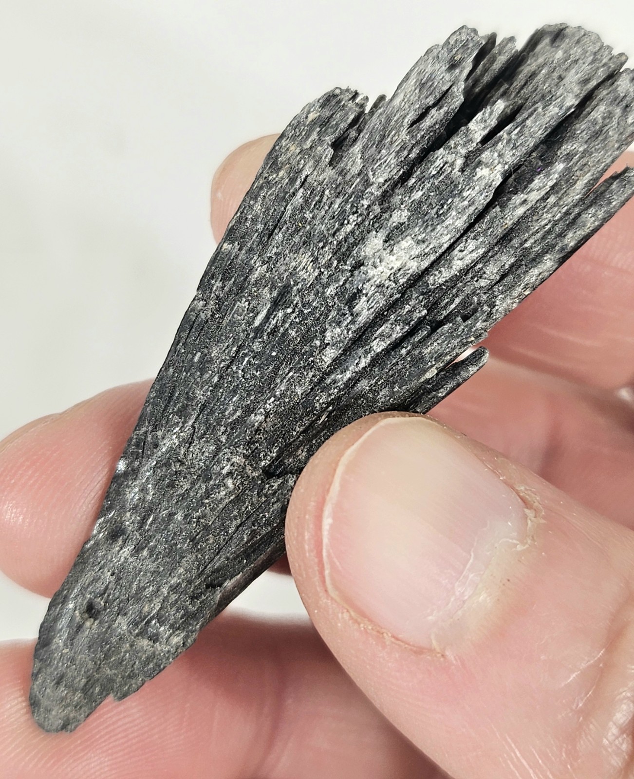 Natural Rough Black Kyanite Fan Blade – Witch’s Broom Crystal Healing Specimen