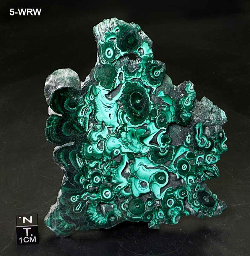Malachite Stalactite Slab High Grade A+ Patterns – BIG 4″ US Seller – See Video!