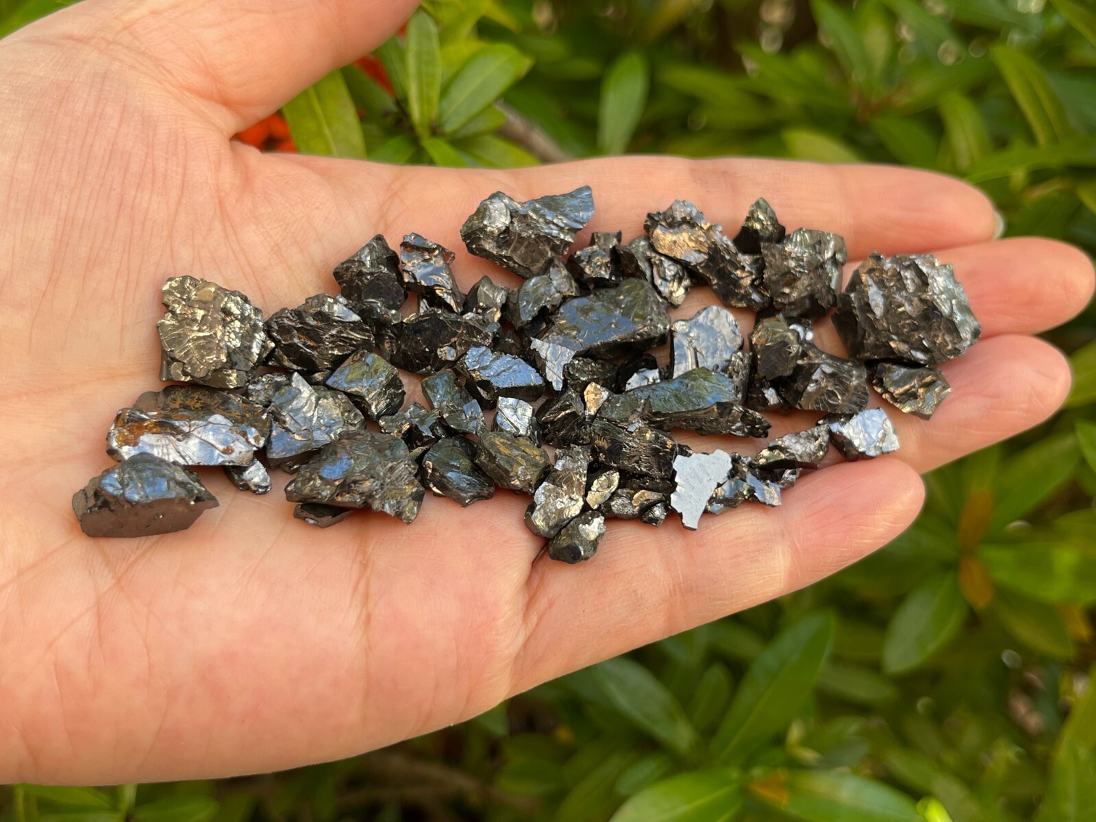 Grade A++ Small Elite Noble Shungite Stone, 0.2-1″ Raw Shungite, Bulk Lot