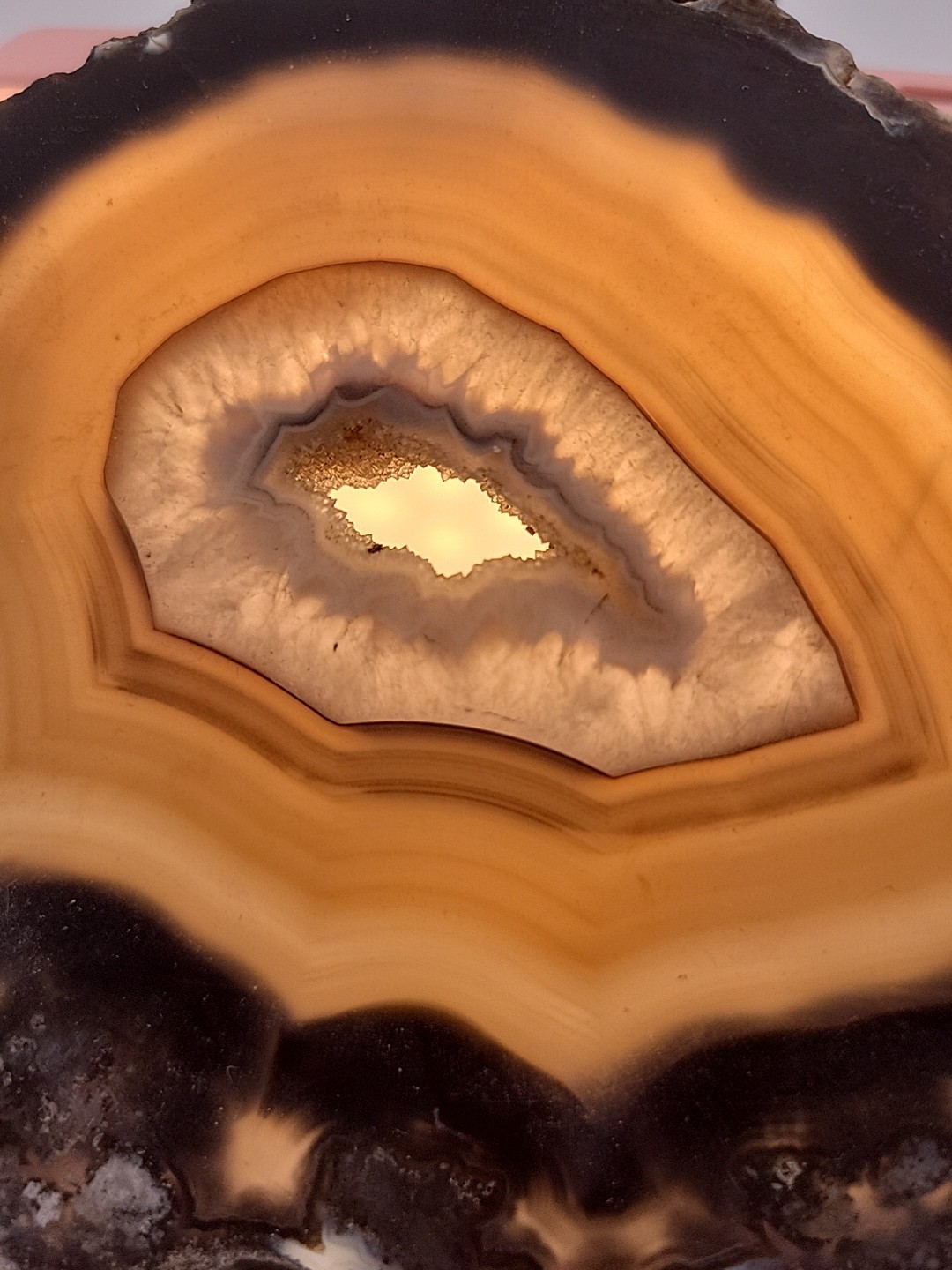 Carnelian Agate Slab Slice Geode~Quartz Center~4oz Opaque Blk Golds GORGEOUS!
