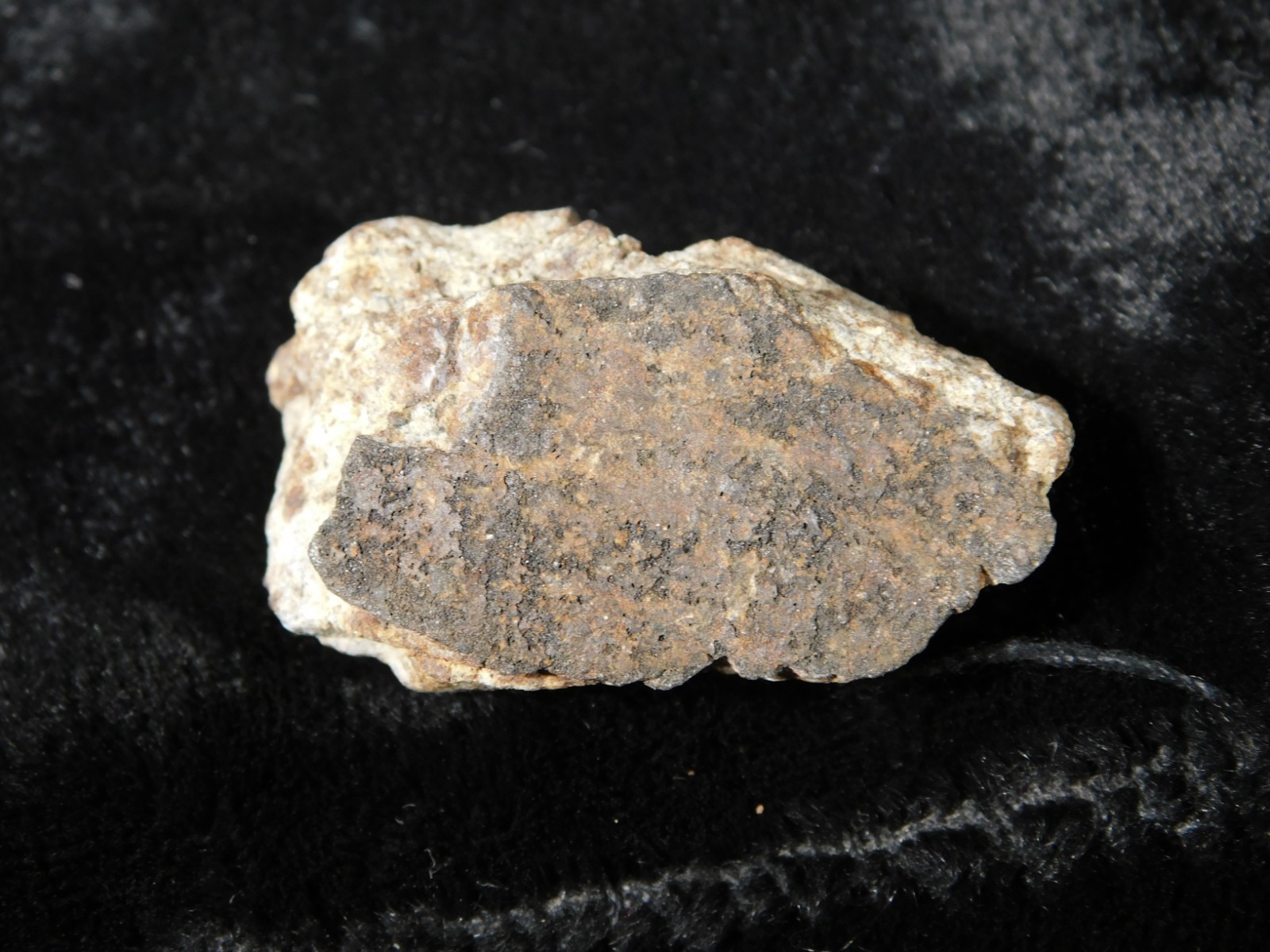 Classified NWA 8245 METEORITE Spots of Dark Fusion Crust! Erfoud, Morocco 21.0gr