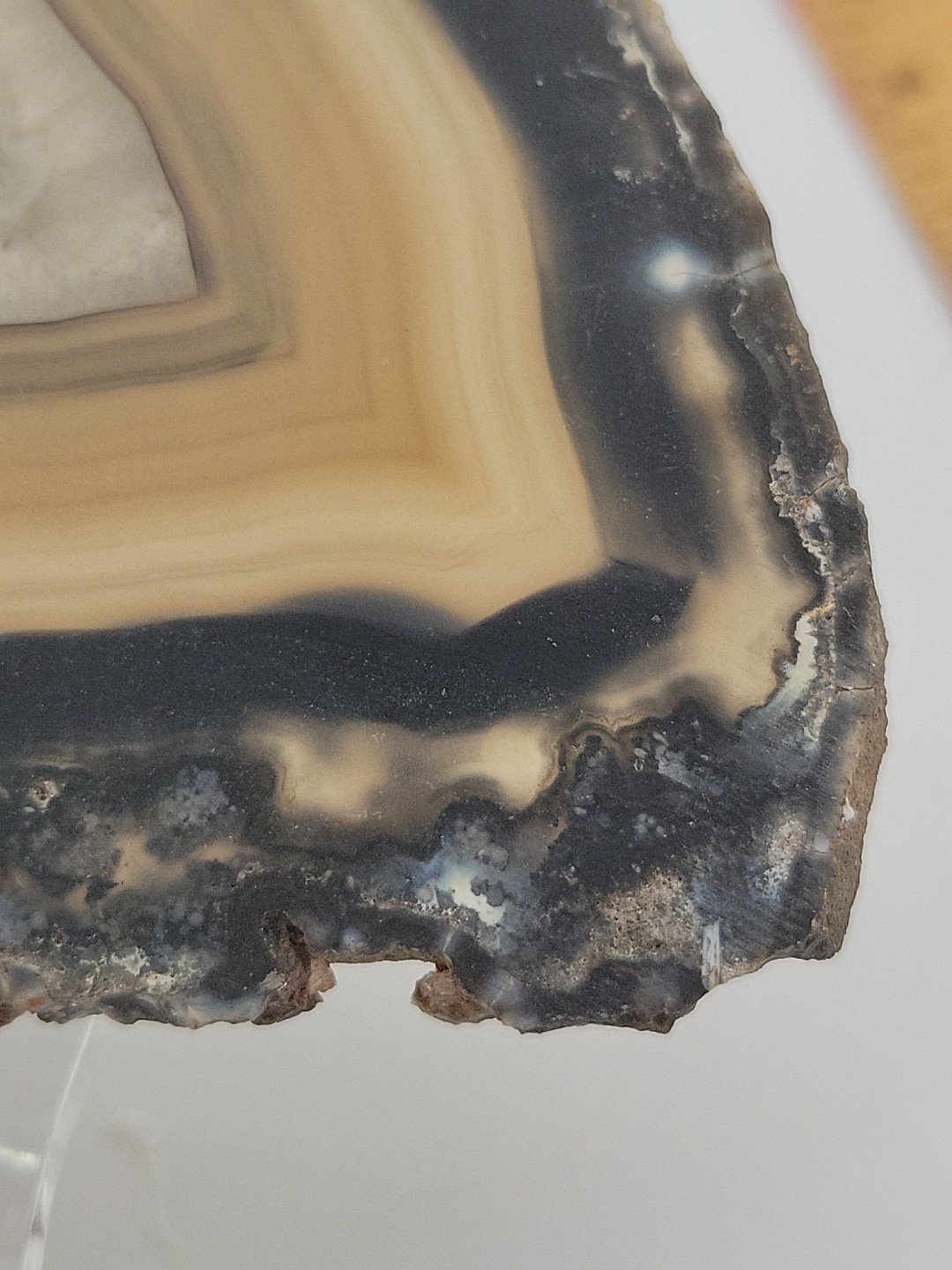 Carnelian Agate Slab Slice Geode~Quartz Center~4oz Opaque Blk Golds GORGEOUS!