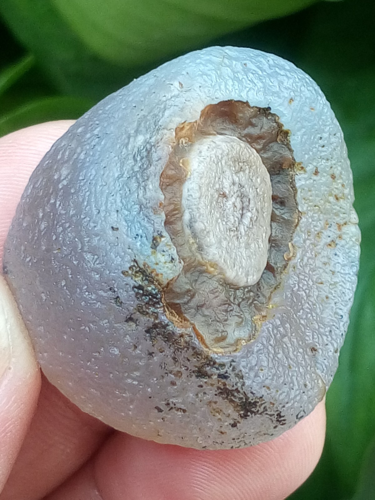 36mm Beautiful Natural Gobi agate eye agate stone collection