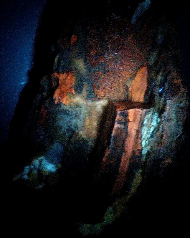 Blue Forest Petrified Botryoidal Blue Chalcedony Crevices UV+ Branch Wood Grain