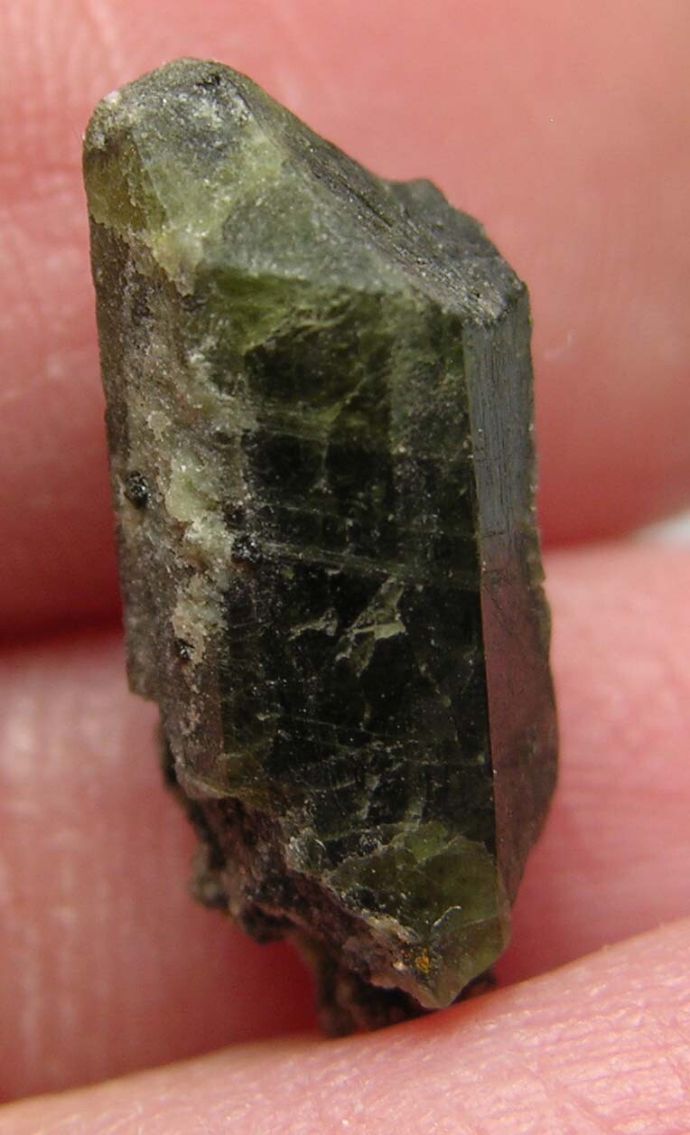 #2 Quebec Canada 7.50ct Natural Raw Diopside Crystal Specimen 1.50g 16.00mm