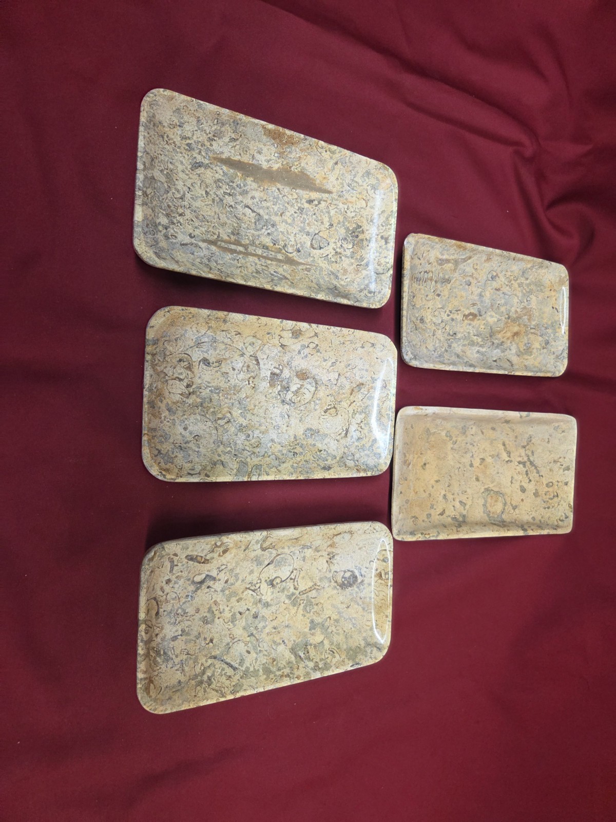 Tray 4×8 Fossil Stone (5 Pieces)