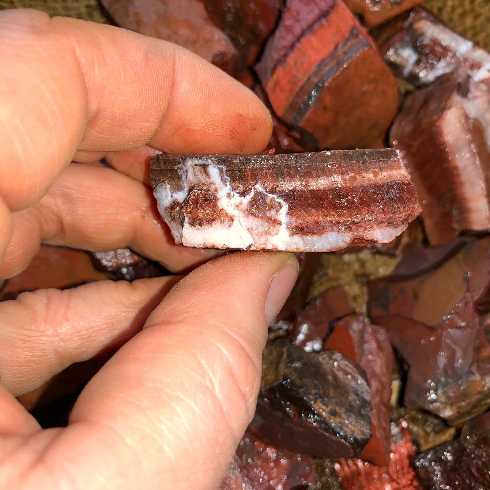 RED Tiger Eye Rough – 2000 Carat Lots + a FREE Faceted Gemstone