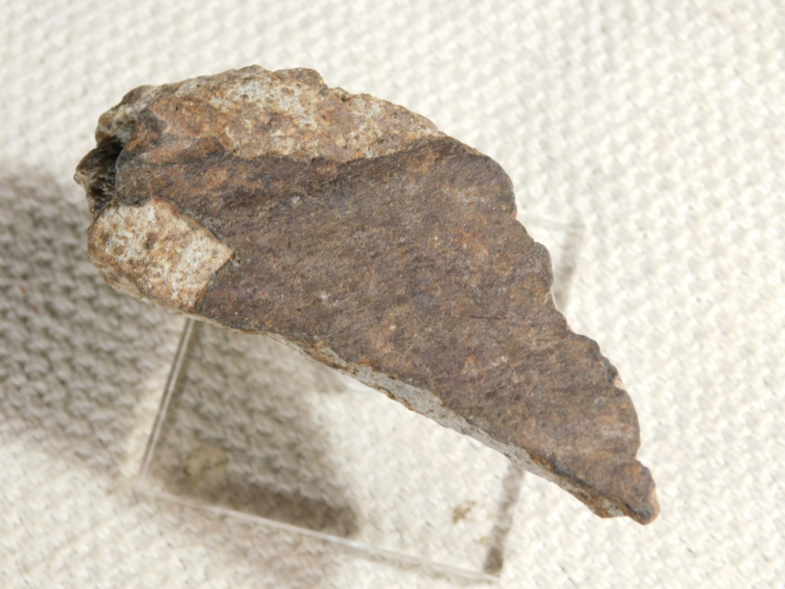 Classified NWA 8245 METEORITE Spots of Dark Fusion Crust! Erfoud, Morocco 68.7gr