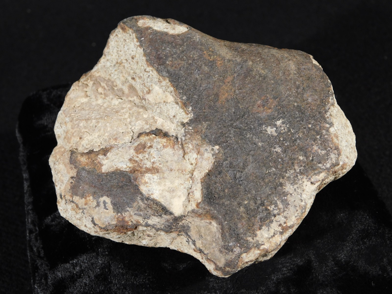Larger! CLASSIFIED NWA 8245 METEORITE with Dark Fusion Crust Erfoud, Morocco 471