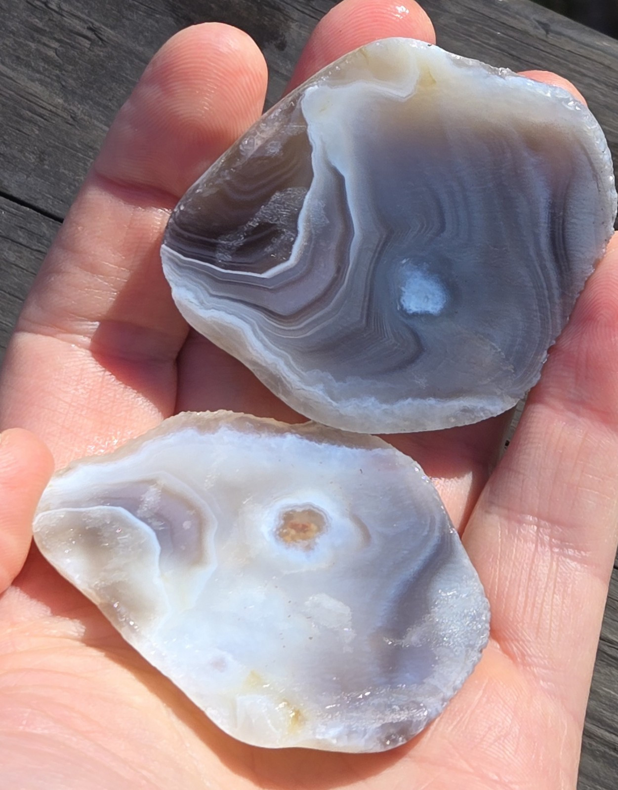 Botswana Agate Cut In Half – Rough, Natural, Not Polished