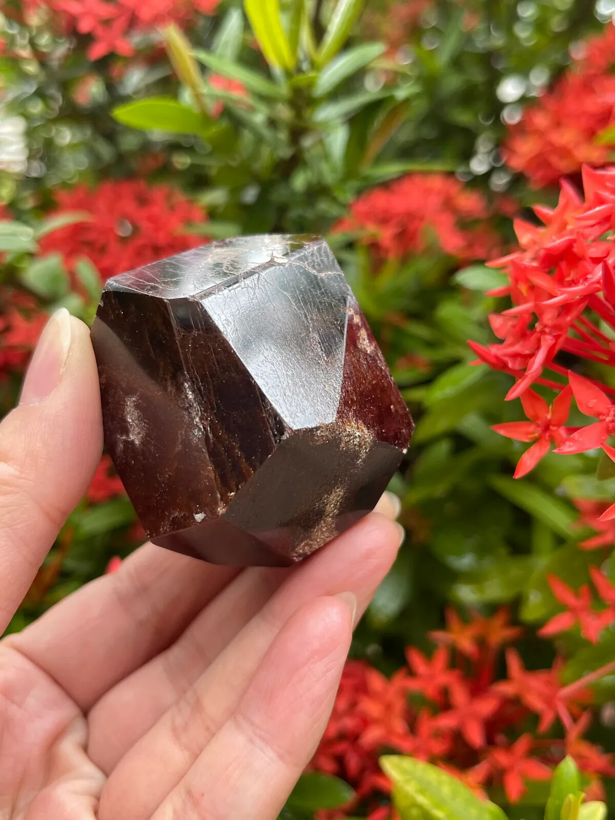 Extra Large Garnet 8 Sides Polished,1.75 to 3″ Polished Almandine Garnet Faceted