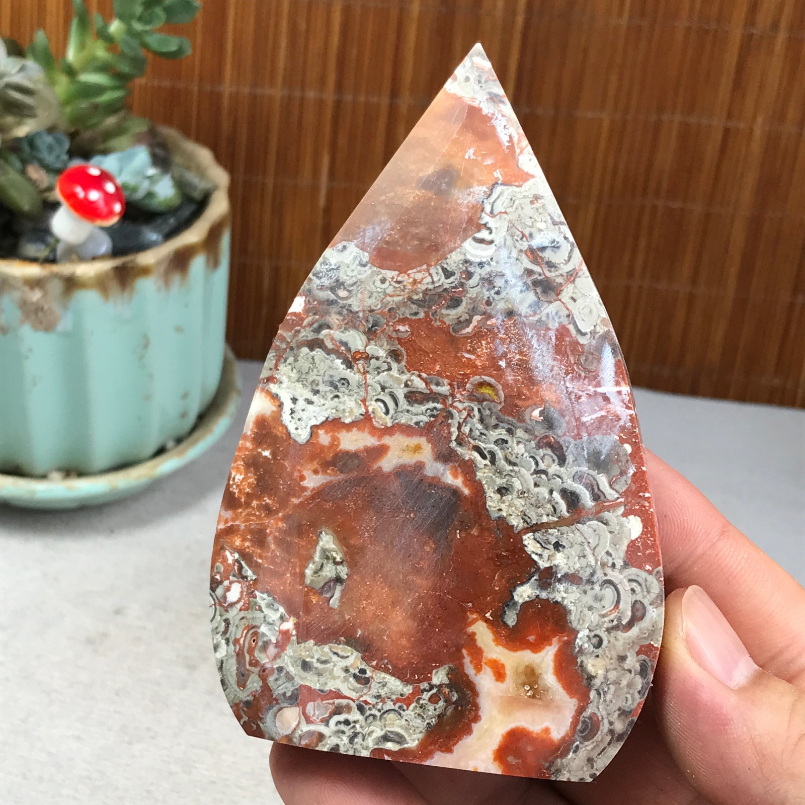 Natural money Mexico agate hand carve leaf Crystal Specimen free standing A6270
