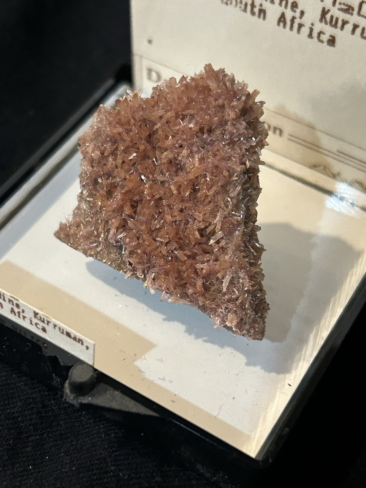 Inesite N’chwaning Mine, Kurruman, South Africa Miniature 3×2.5 Cm