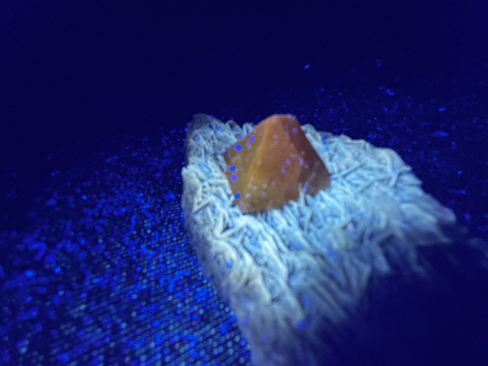 KB: SW FL BRIGHT BLUE/WHITE & LW ORANGE SCHEELITE XLS. FROM PINGWU MINE, CHINA