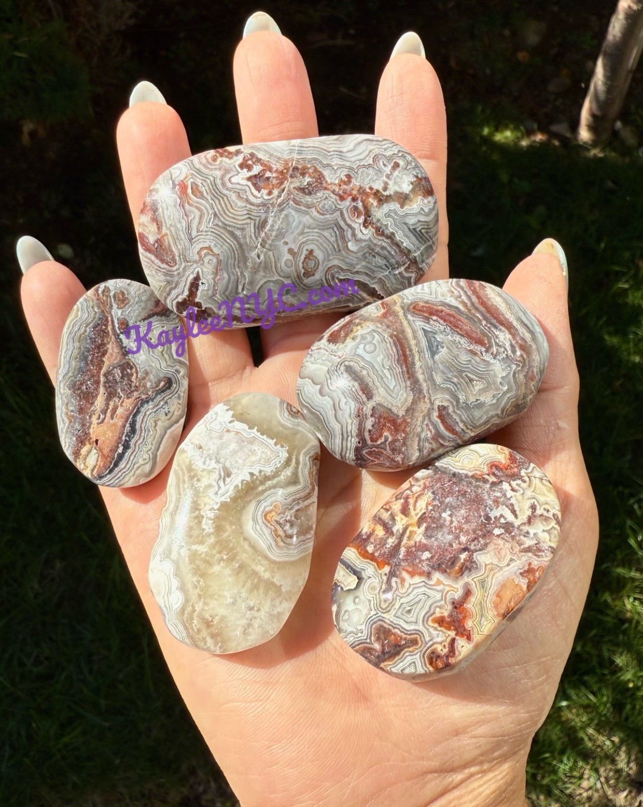 Wholesale Lot 2 Lbs Natural Mexican Lace Agate Palm Stone Crystal Healing