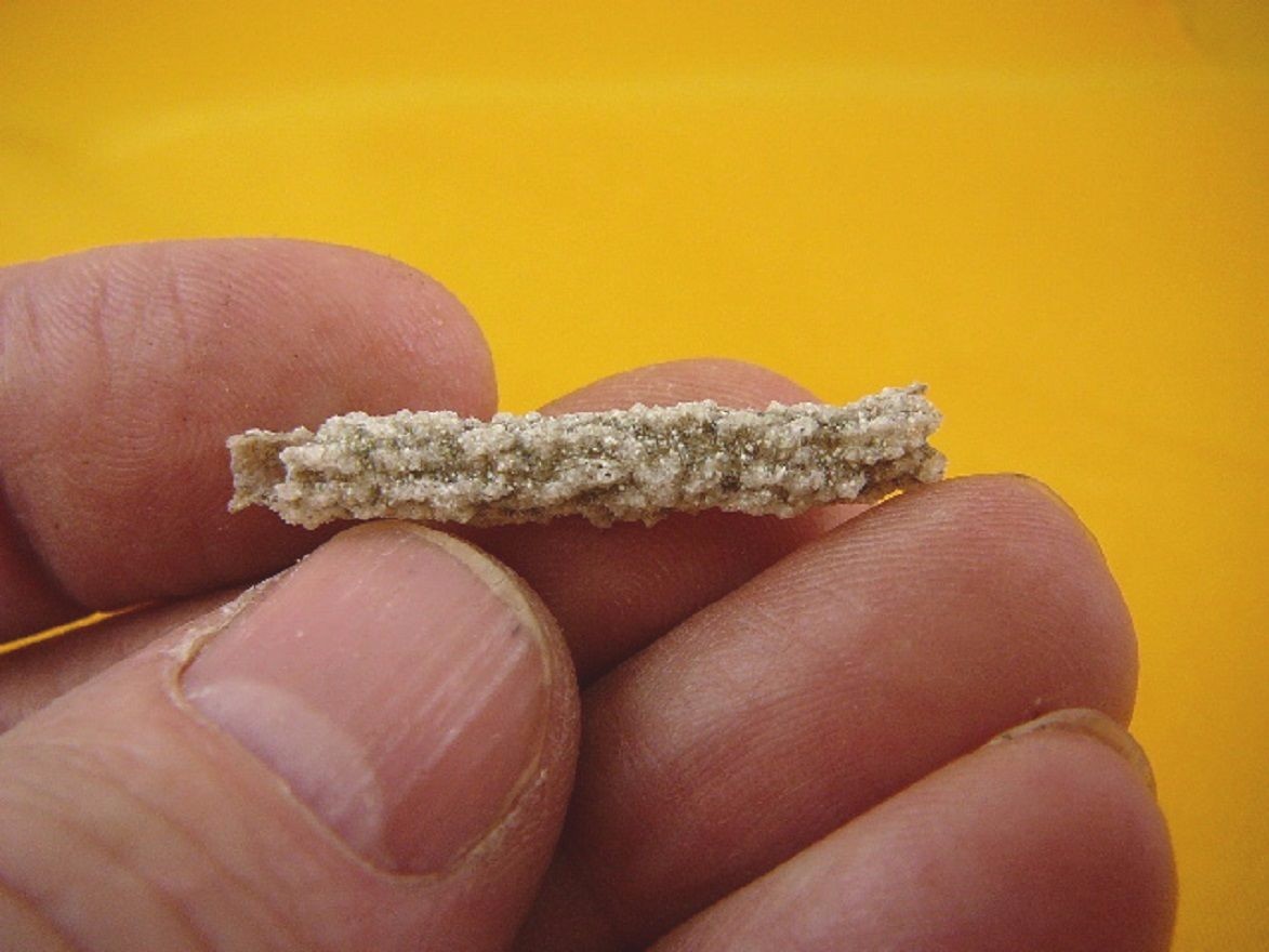 (r352-62) 1-7/8″ Fulgurite lightning strike storm beach sand glass West Texas