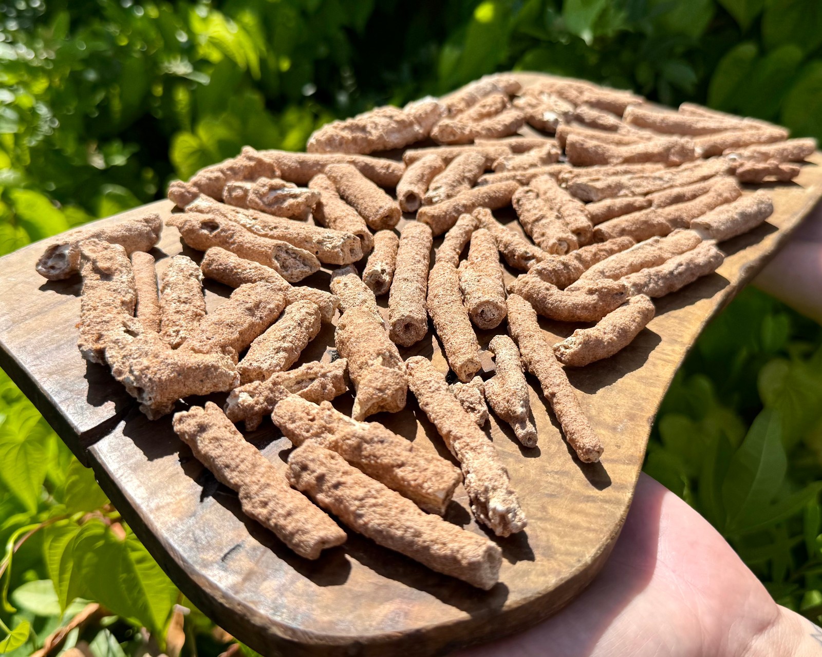 RARE Fulgurite Crystals Collection Box – Natural Lightning Formed Raw Fulgurite
