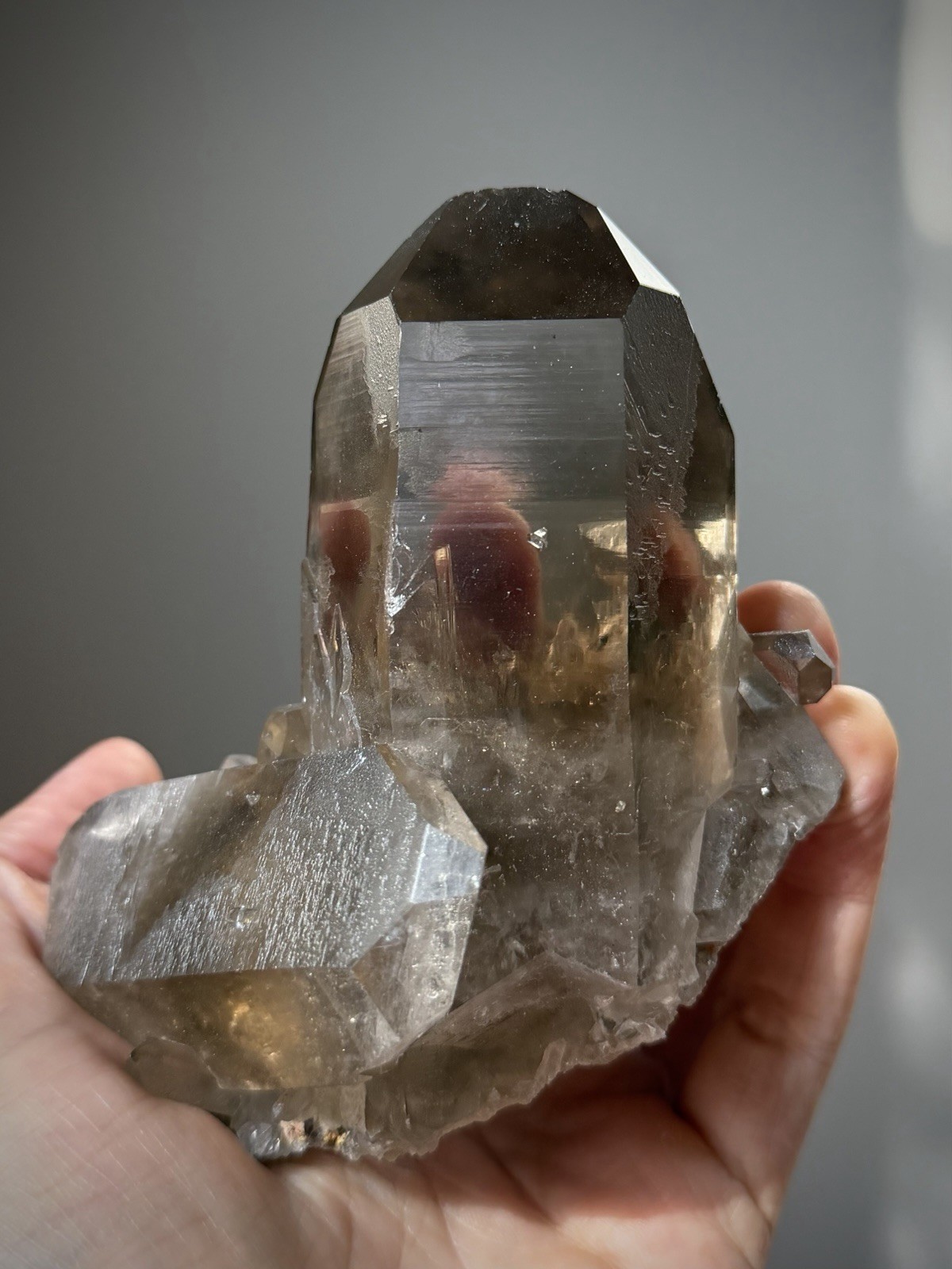 Diamantina Quartz Crystal Starbrary Quartz Natural Smoky Quartz Brazil Crystal