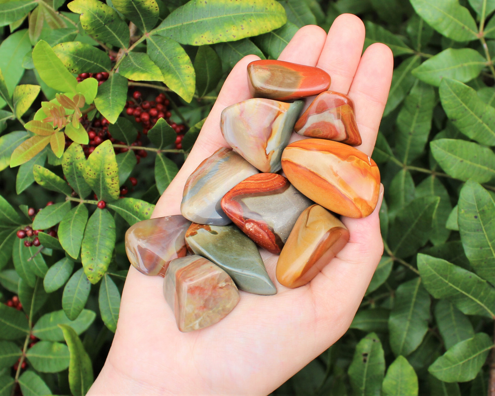1/4 lb Bulk Lot Polychrome Jasper Tumbled Stones (Crystal Healing) 4 oz