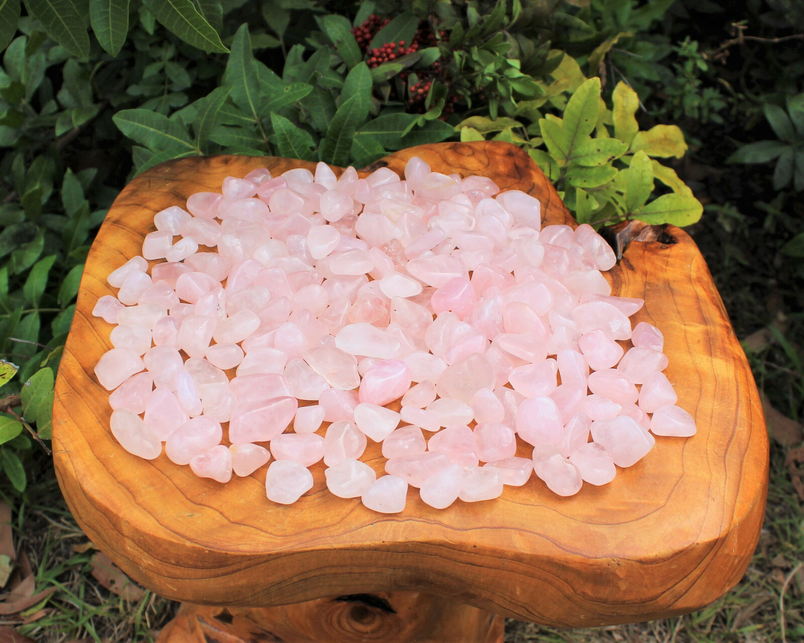 5 lb Bulk Lot Rose Quartz Tumbled Stones (Crystal Healing, Love Stone, Gemstone)