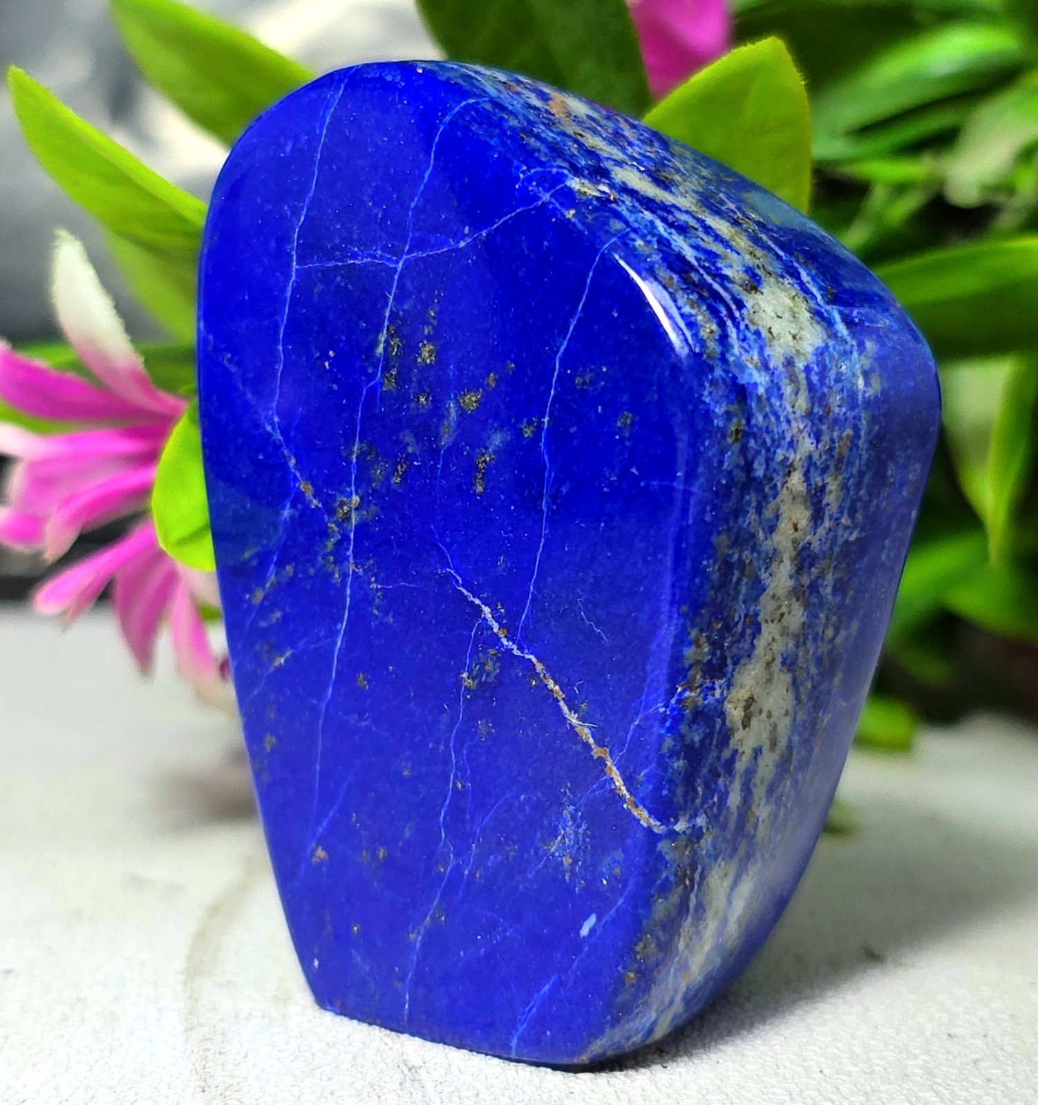 Rare AAA Lapis Lazuli Freeform Polished Stone Deep Blue Crystal Display