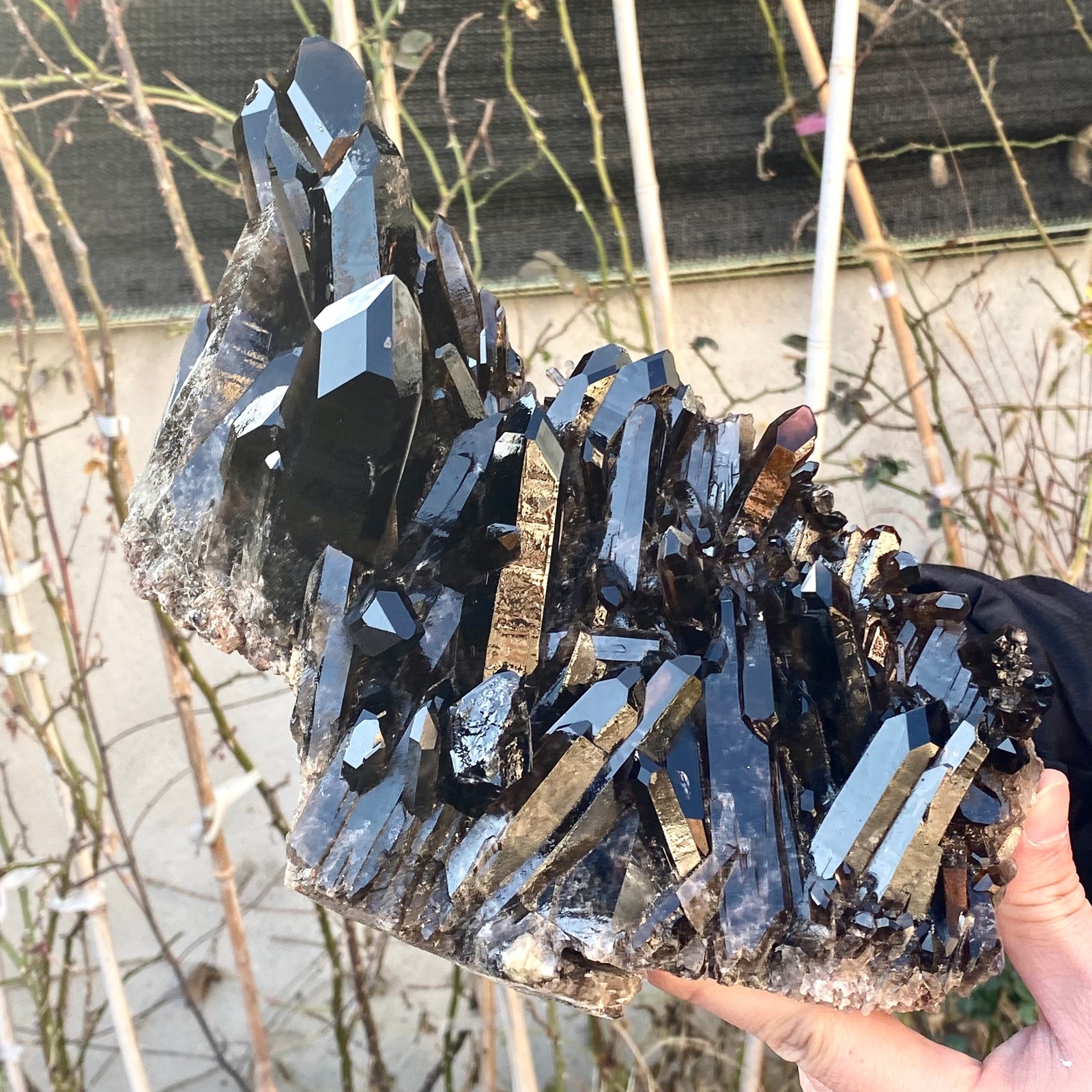 5.25LB Large Natural black Quartz Crystal Cluster Rough Specimen Healing Stone.