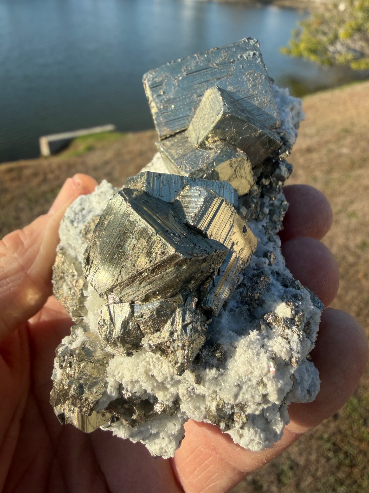 AAA PYRITE Crystal CUBE Cluster Huanzala Mine Peru 346gr 4″+ wide