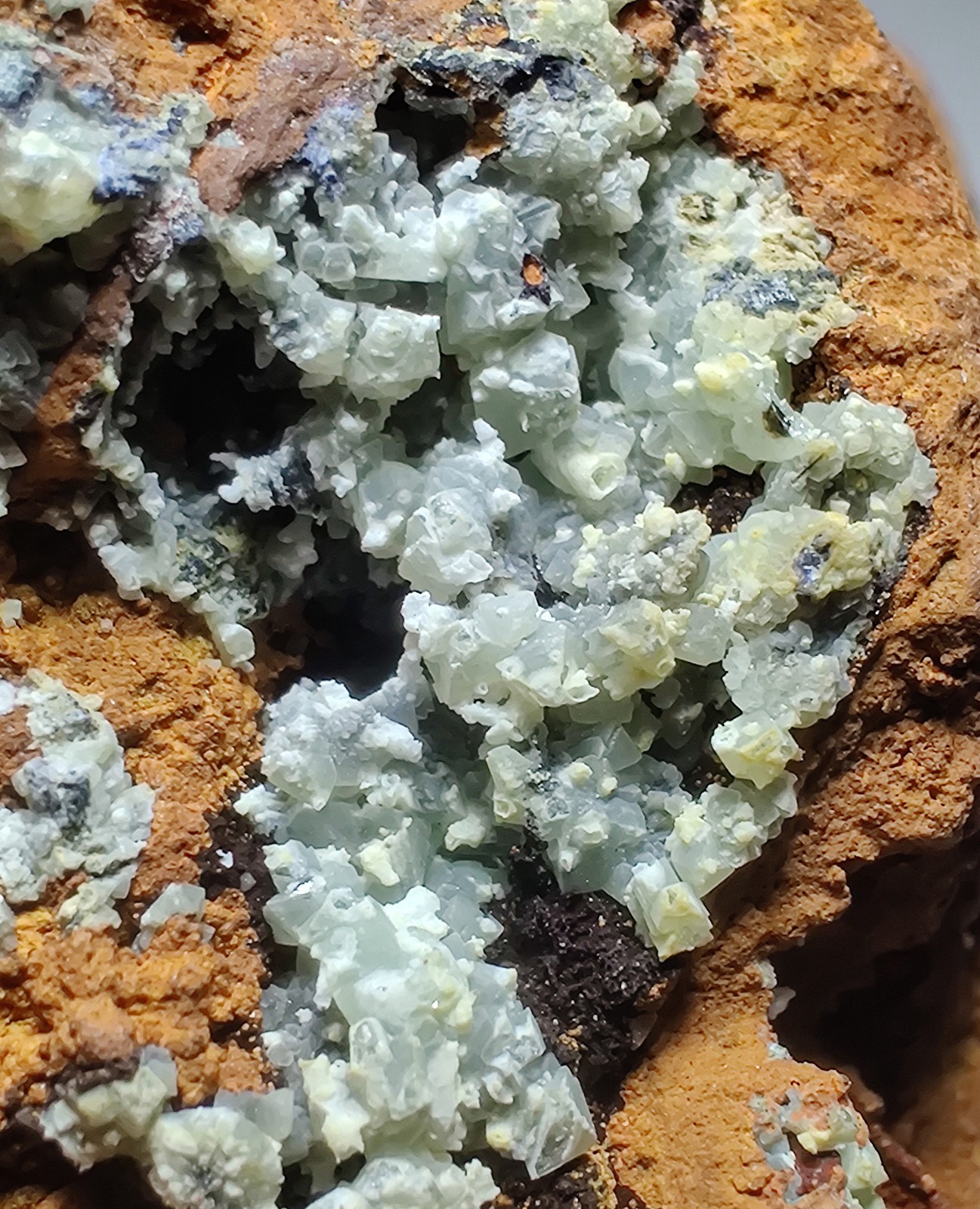 Fluorescent Adamite, Smithsonite on Limonite. Ojuela Mine, Mexico. 163 grams.